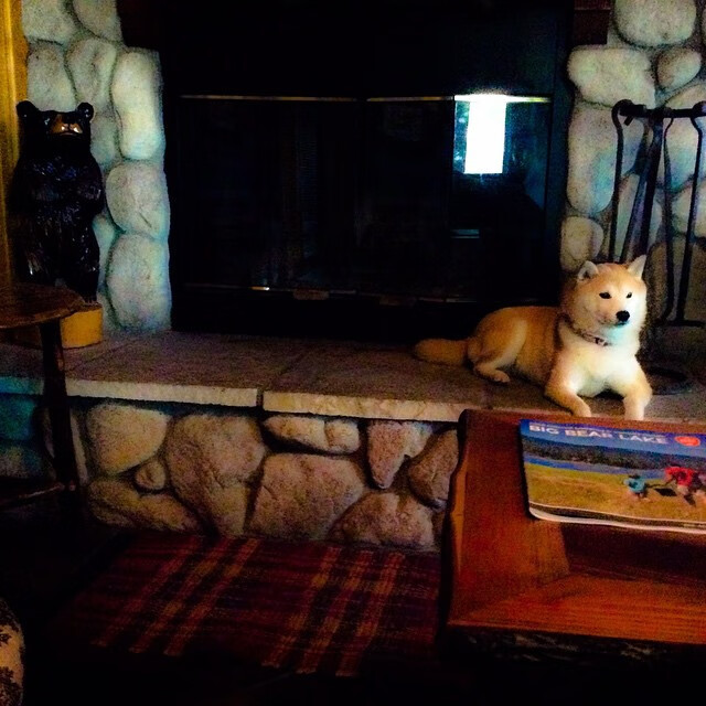 全国青少年趣味障碍趣味赛在北京圆满成功，儿童趣味障碍赛